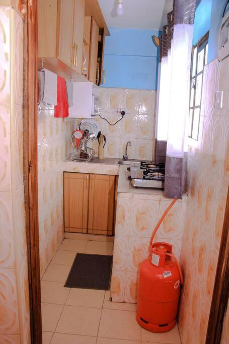 Cozy Homes 1 Bedroom House With Wi-Fi King Size Bed. Free Parking Naivasha Exteriör bild
